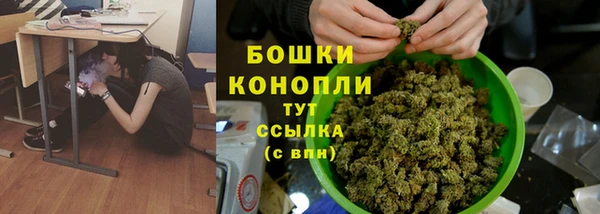 ГАЛЛЮЦИНОГЕННЫЕ ГРИБЫ Абинск