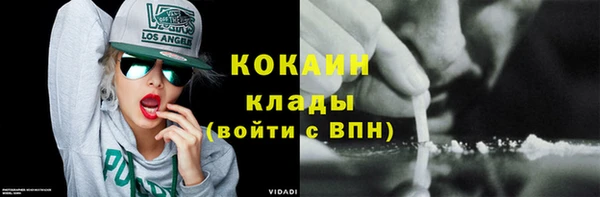 крисы Абаза