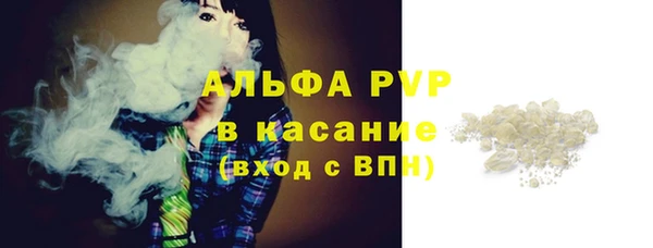 крисы Абаза