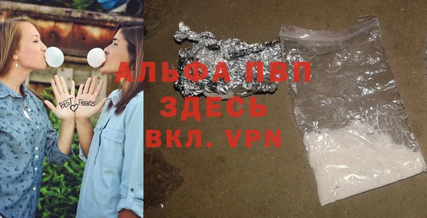 крисы Абаза