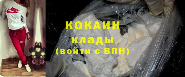 крисы Абаза